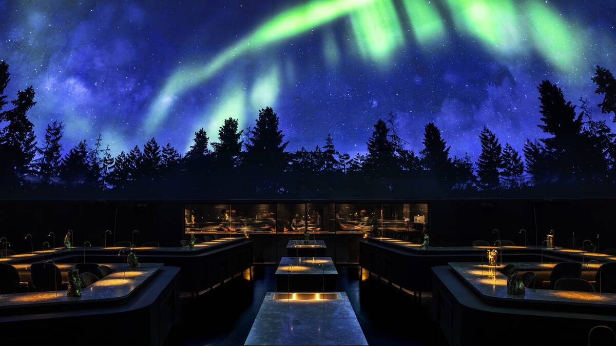 Alchemist 餐厅的穹顶特效