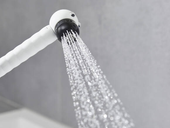 汉斯格雅的儿童花洒，狮子。