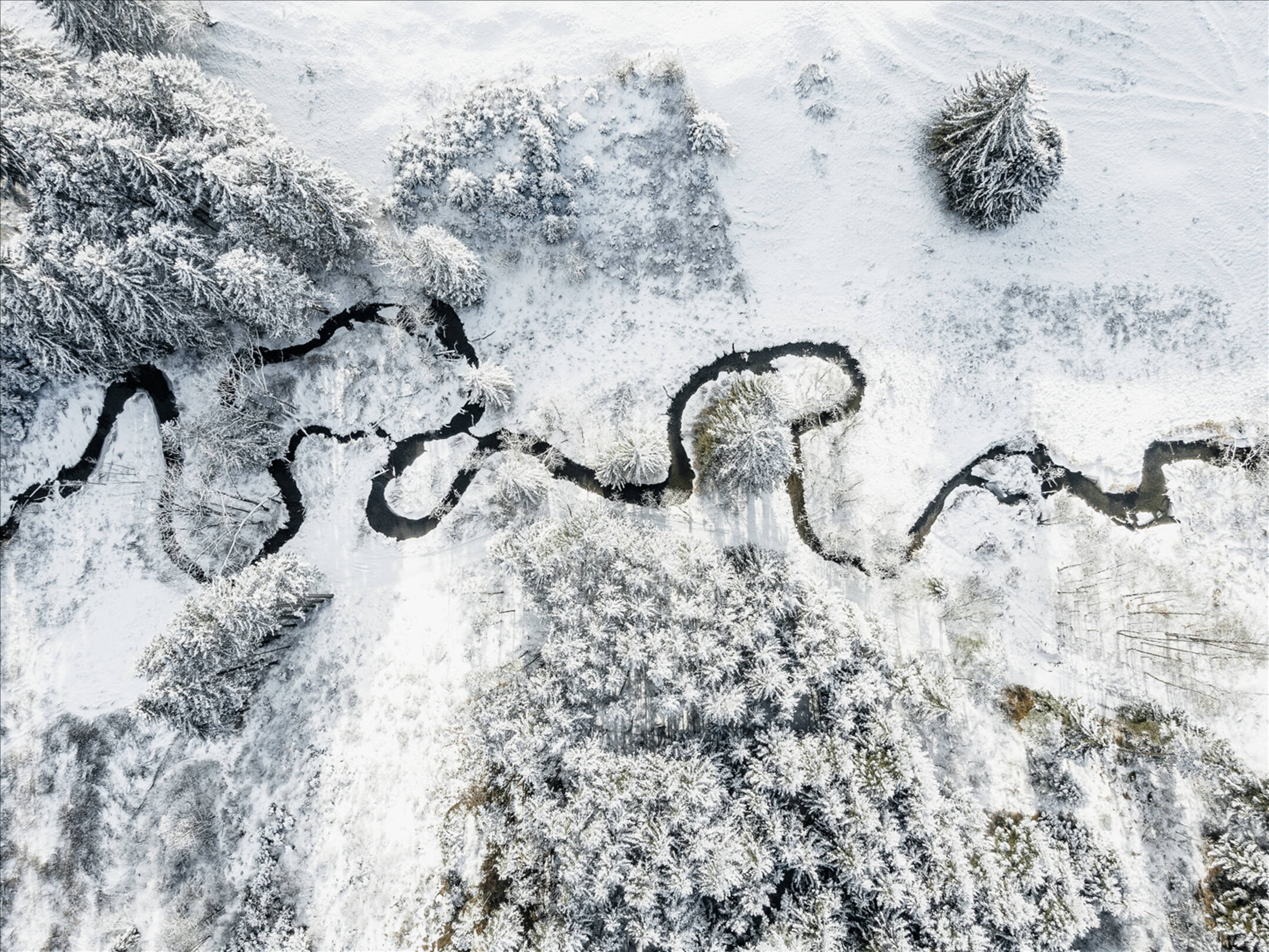 圣莫里茨：安东尼奥•奇特里奥   在这里有家的感觉。