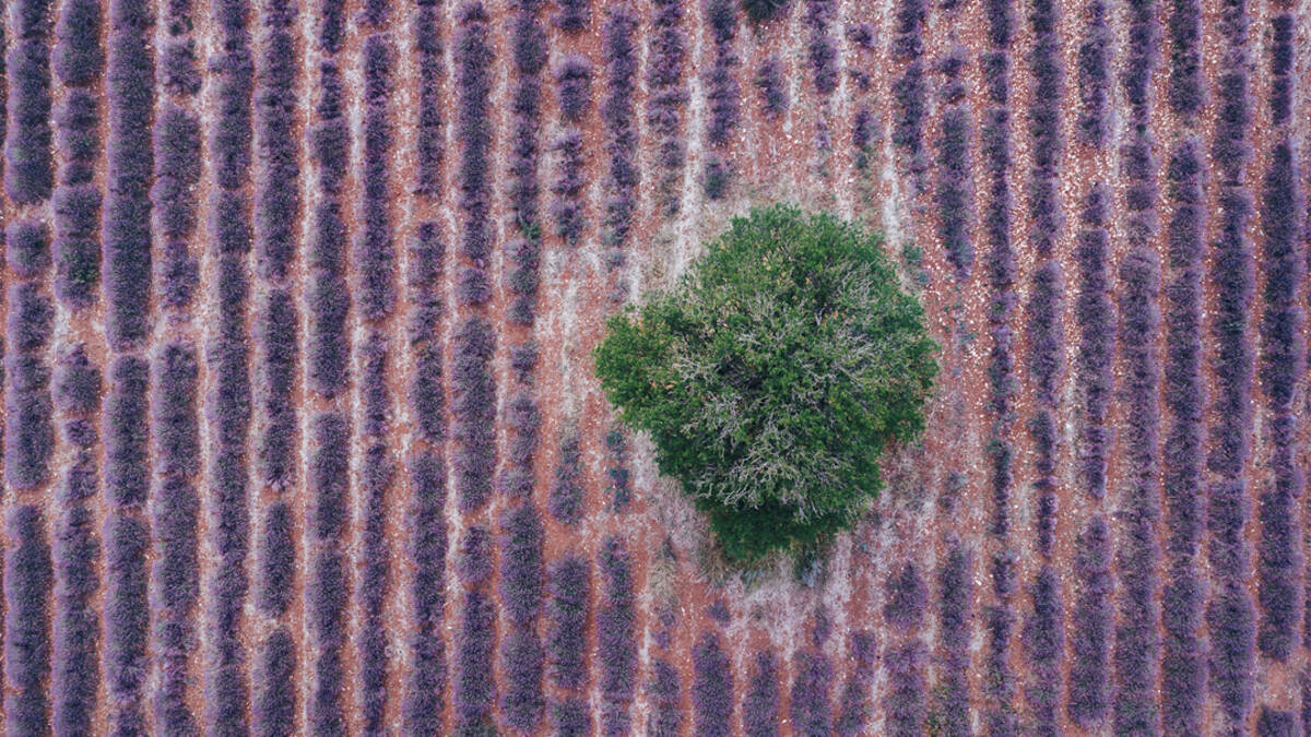 奢华浴室装配雅生蒙特勒系列
