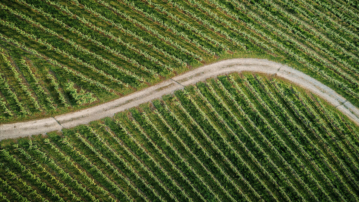 雅生 LampShower 带来具有天然美感的奢华淋浴体验。