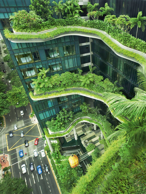 城市建筑中的可持续发展理念。