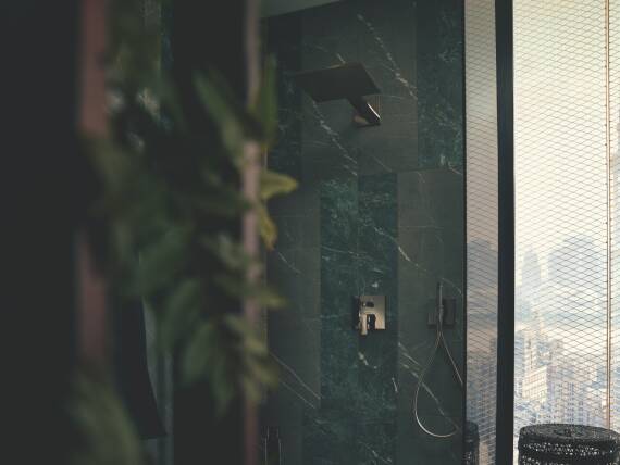 雅生奇特里奥淋浴产品的杆式手持花洒。