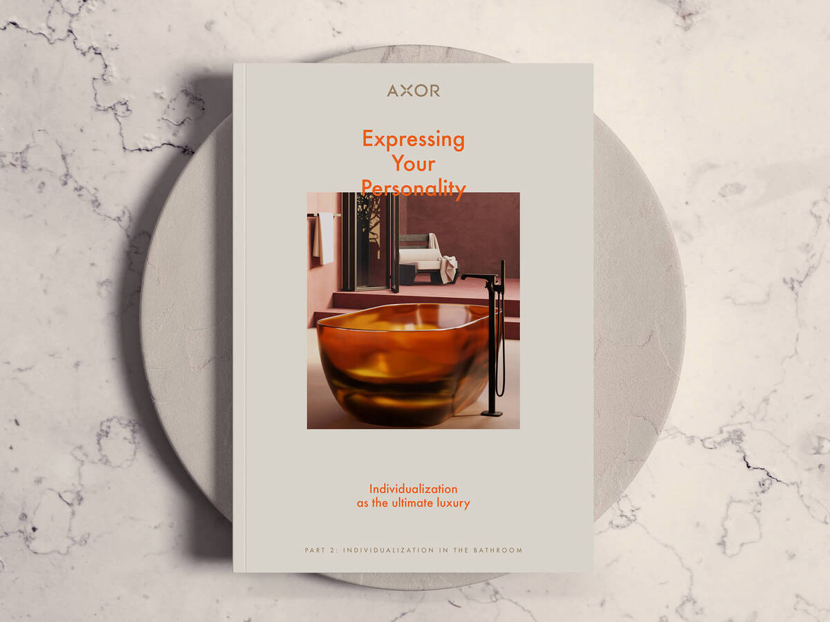 白皮书第 2 部分