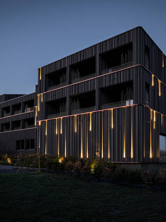 由垂直结构排列的线性木板条制成的外立面