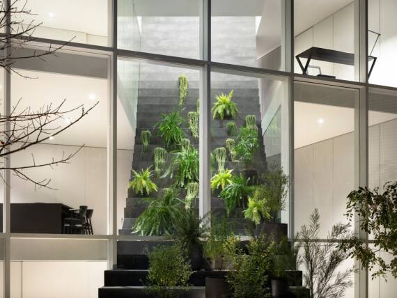 楼梯结构还可以用作温室。