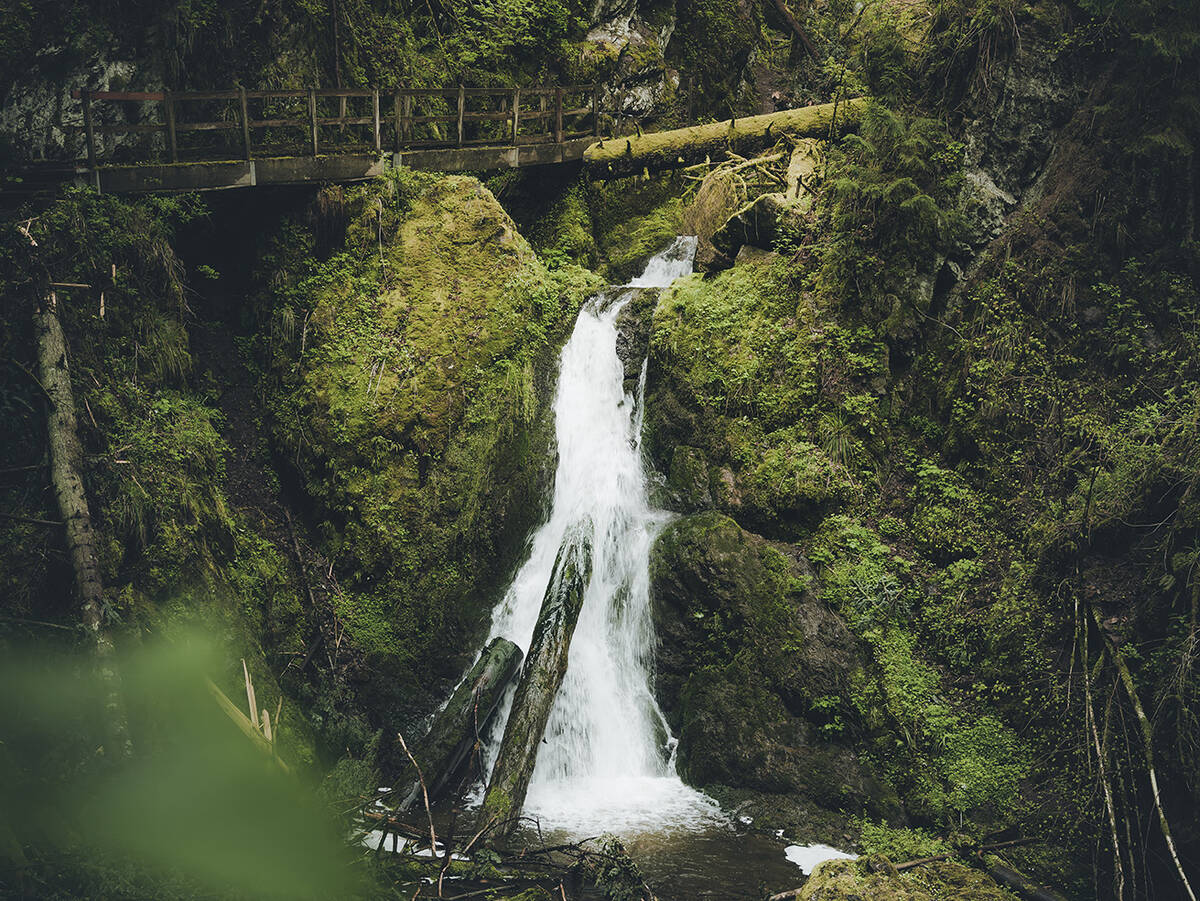 值得信任的品质