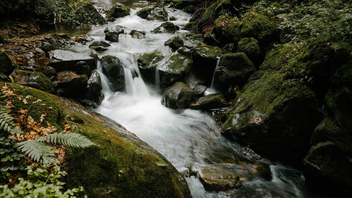 了解汉斯格雅集团如何理解和践行可持续发展