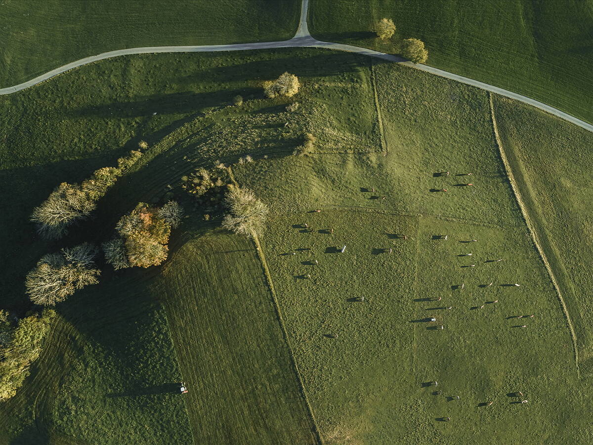 卫生间里的皮革：水龙头上的皮革是怎么来的？