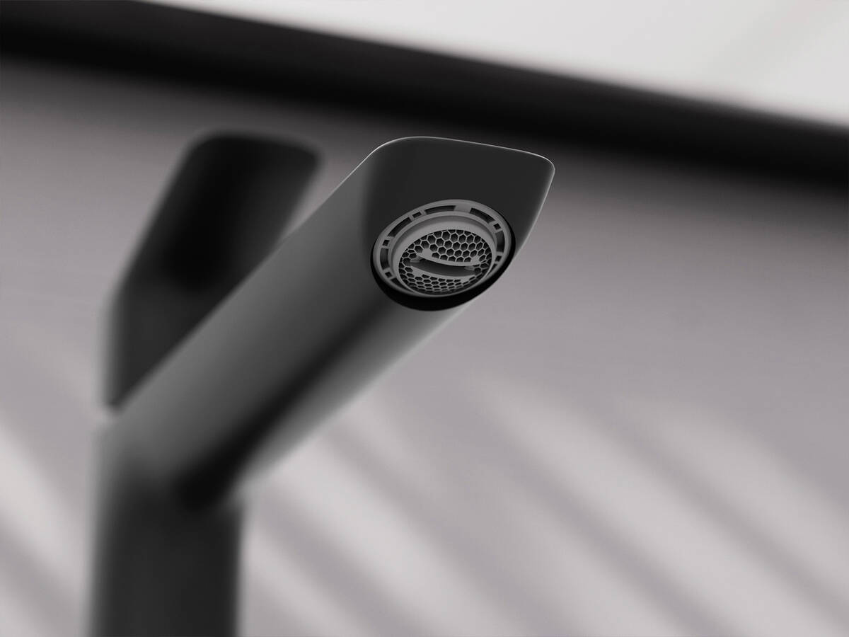 黑色芮碧偲龙头的 CoinSlot