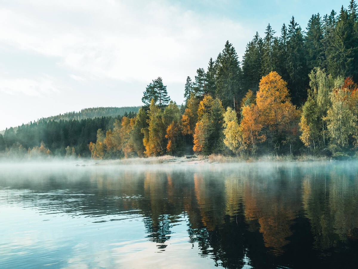汉斯格雅的可持续发展。