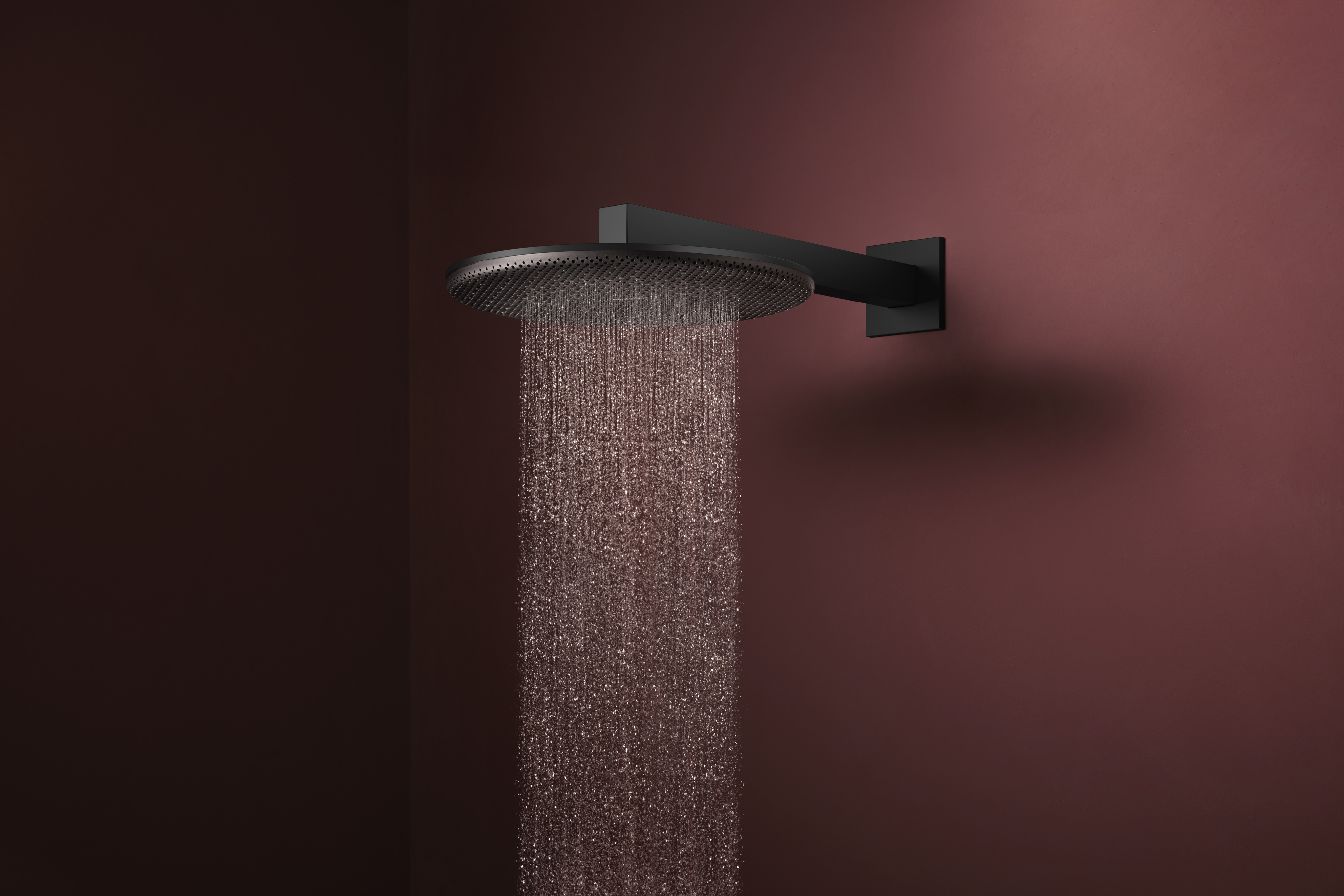 关闭：头顶花洒 S 300 单速 2