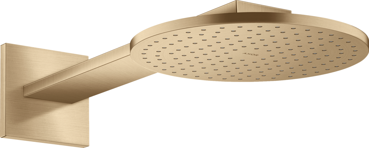 头顶花洒250 单速，带花洒臂