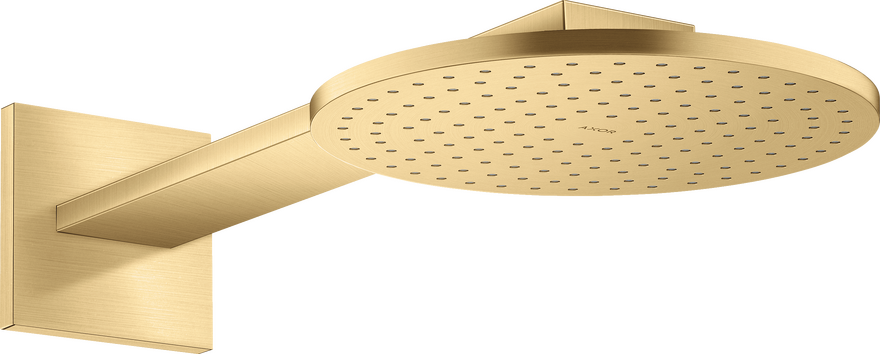 头顶花洒250 单速，带花洒臂