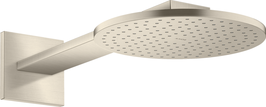 头顶花洒250 单速，带花洒臂