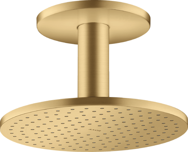 头顶花洒250 单速，带天花板连接管