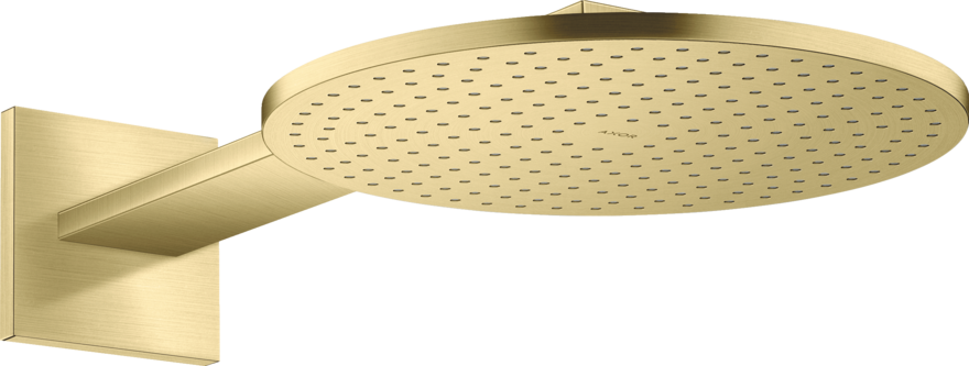 头顶花洒300 两速，带花洒臂