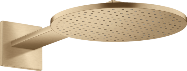 头顶花洒300 两速，带花洒臂