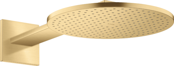 头顶花洒300 两速，带花洒臂