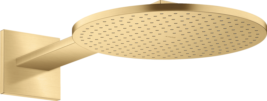 头顶花洒300 单速，带花洒臂