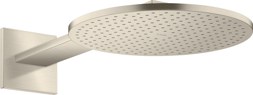 头顶花洒300 两速，带花洒臂