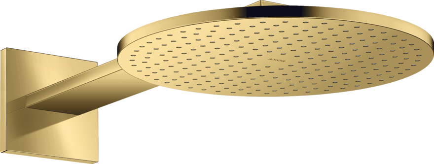 头顶花洒300 两速，带花洒臂