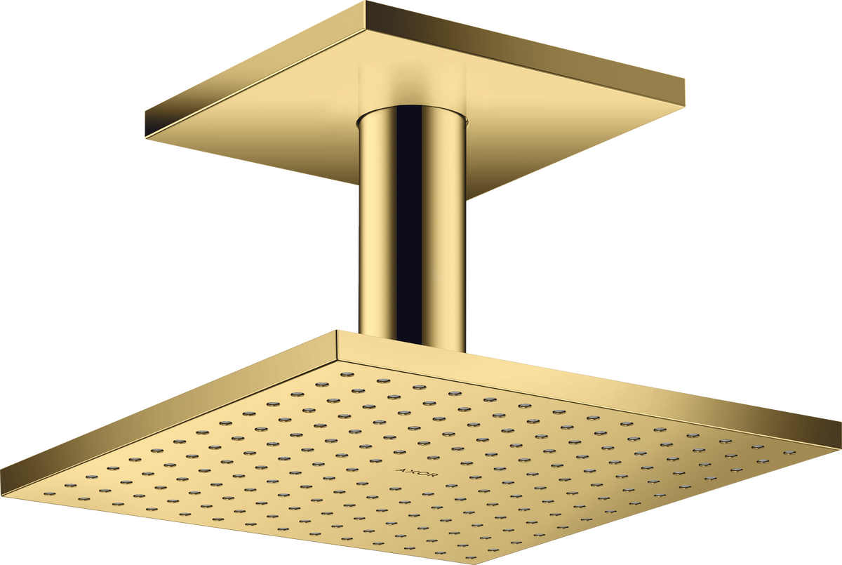 头顶花洒250/250 单速，带天花板连接管