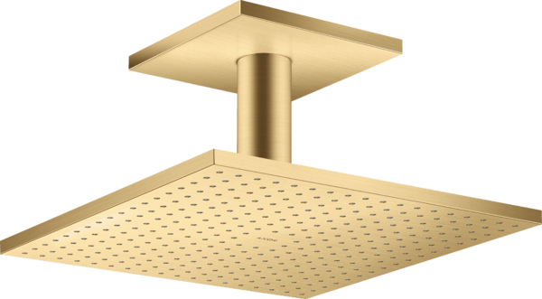 头顶花洒300/300 单速，带天花板连接管