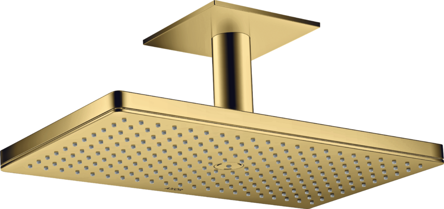 头顶花洒460/300 单速，带天花板连接管