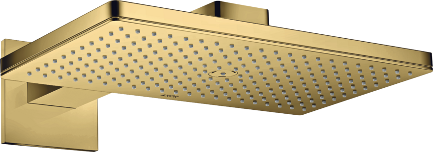 头顶花洒460/300 单速，带花洒臂和方形装饰盖