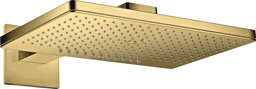 头顶花洒460/300 两速，带花洒臂和方形装饰盖