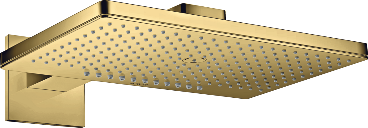 头顶花洒460/300 两速，带花洒臂和方形装饰盖