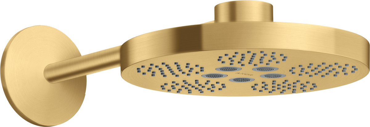 头顶花洒280 两速，带花洒臂