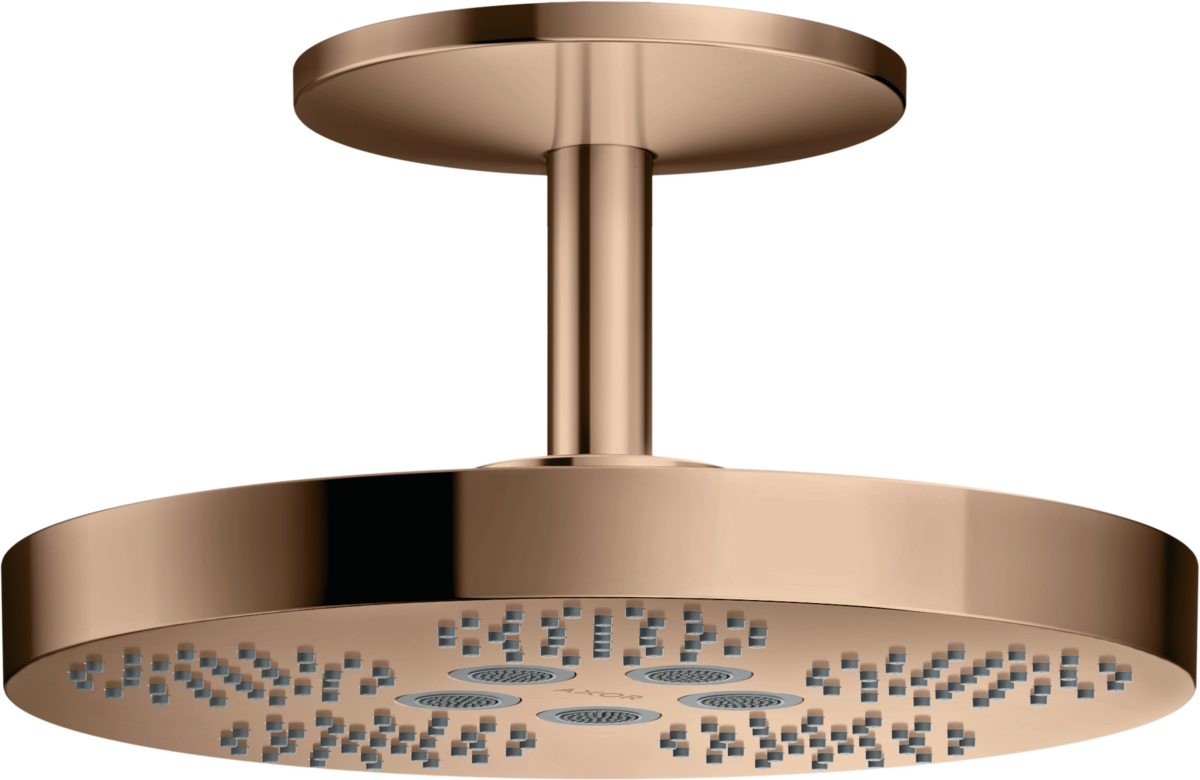 头顶花洒280 两速，带天花板连接管