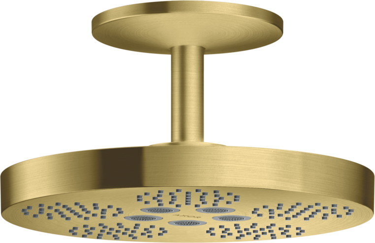 头顶花洒280 两速，带天花板连接管