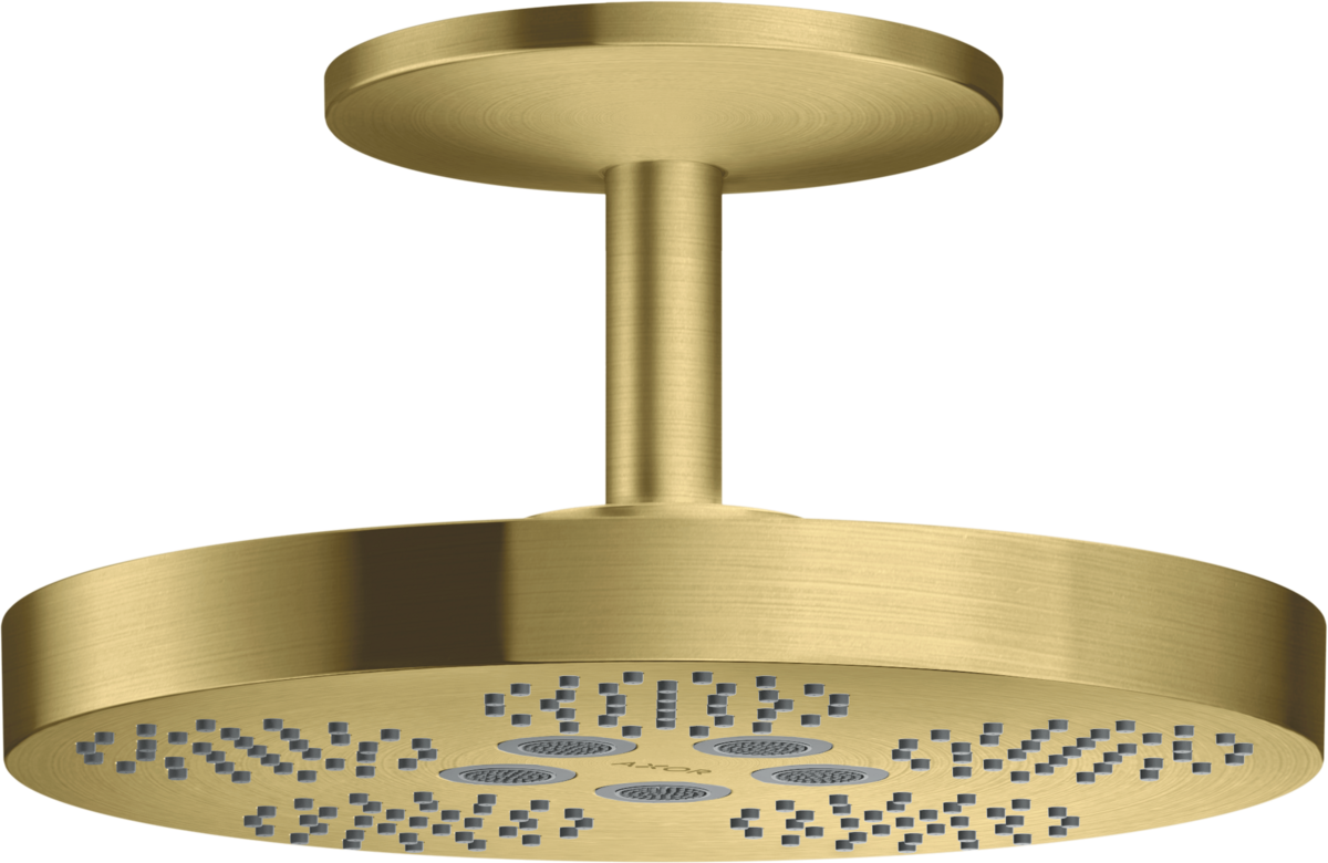 头顶花洒280 两速，带天花板连接管